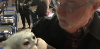 Star Wars: George Lucas incontra Baby Yoda