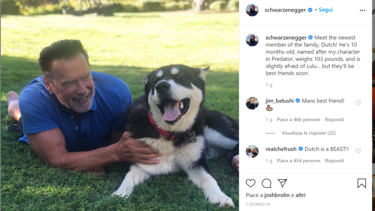 Arnold Schwarzenegger con il suo nuovo cagnolino