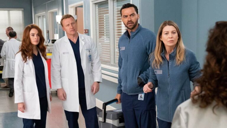 Grey's Anatomy 17: sarà l'ultima?