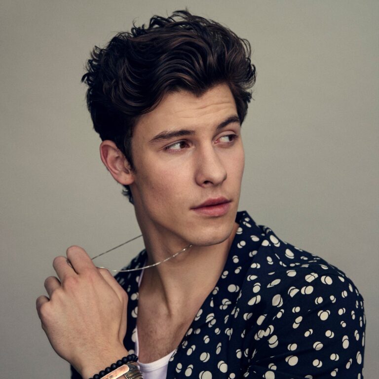shawn mendes cantante