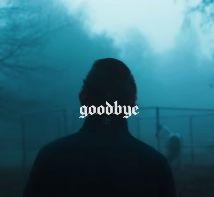 Goodbye di Imanbek, screen dal video