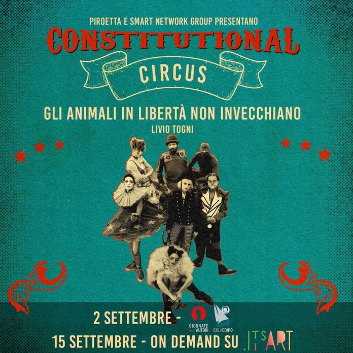 Constitutional Circus
