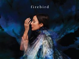 Firebird, copertina dell'album