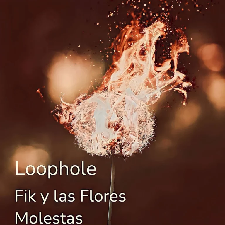 Fik Y Las Flores Molestas, dal 23 febbraio in radio e in digitale “Loophole”