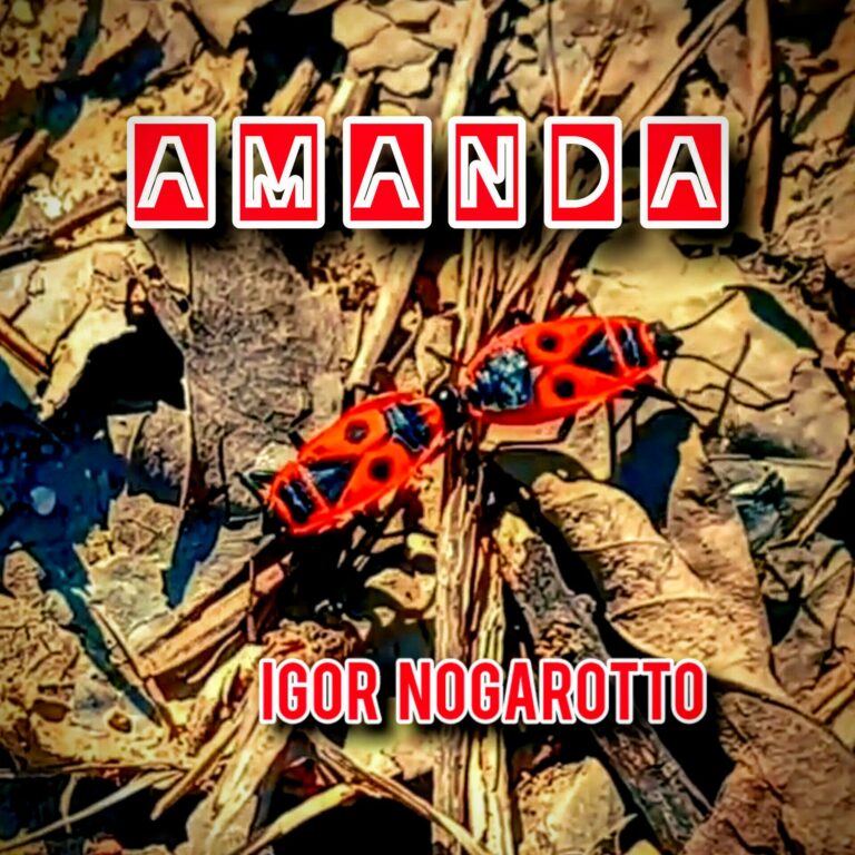 “Amanda” e il Messaggio di Amore e Rispetto di Igor Nogarotto contro la Violenza sulle Donne