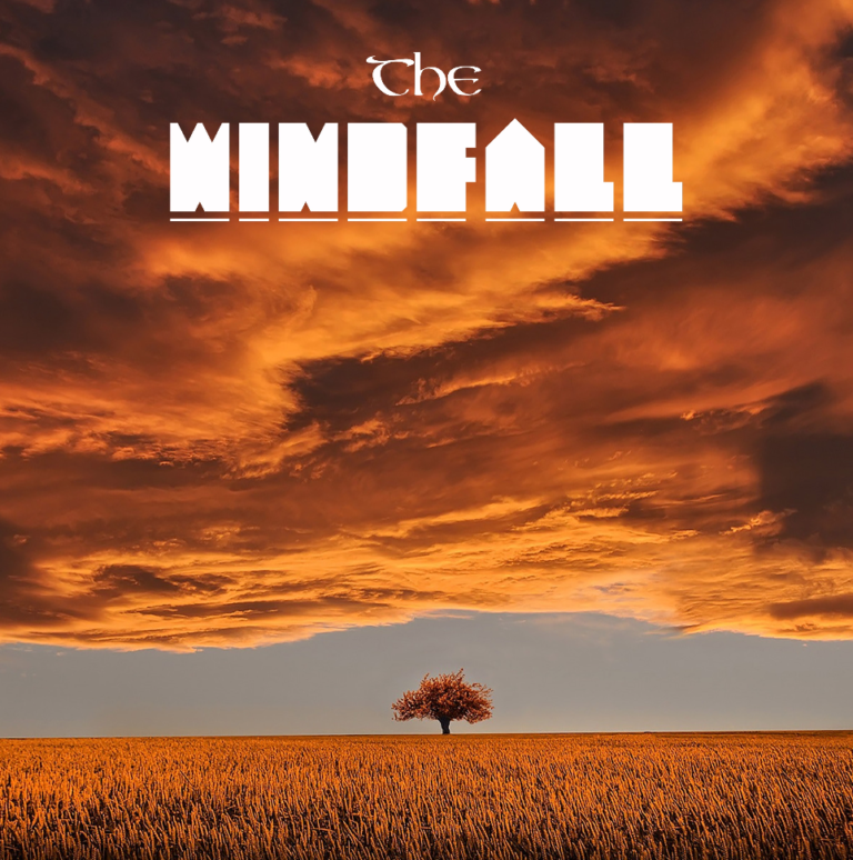 “Ouverture”, Un Viaggio Musicale di Trasformazione per The Windfall