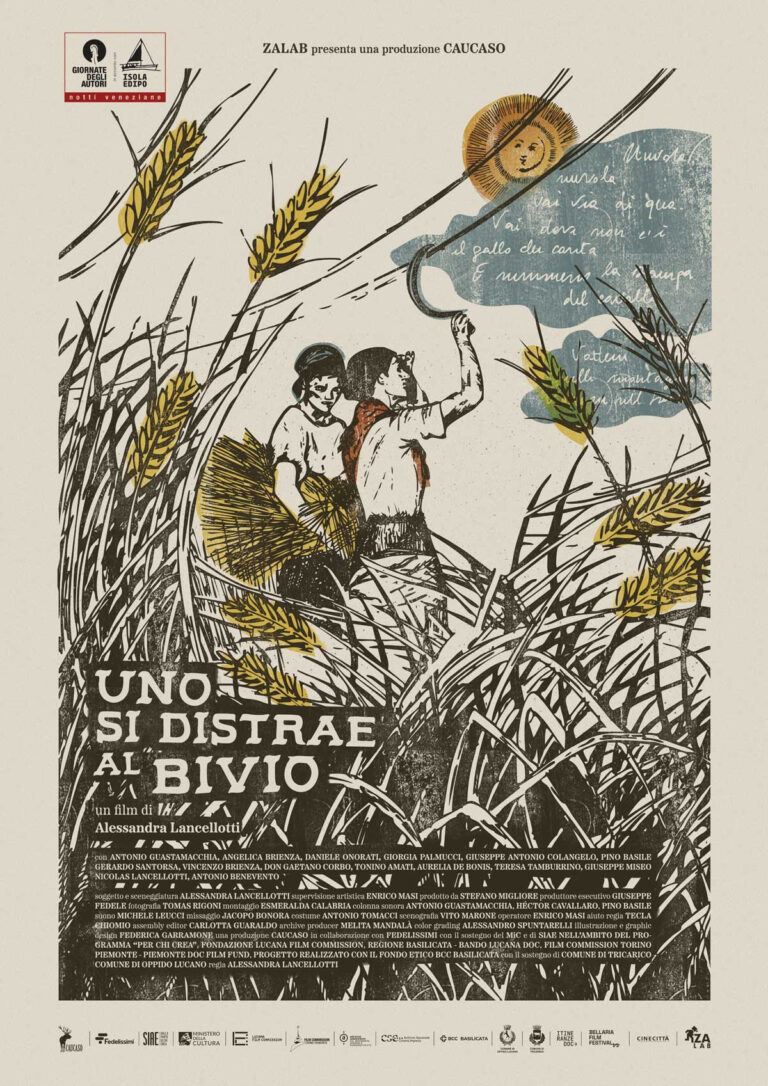 Uno si distrae al bivio